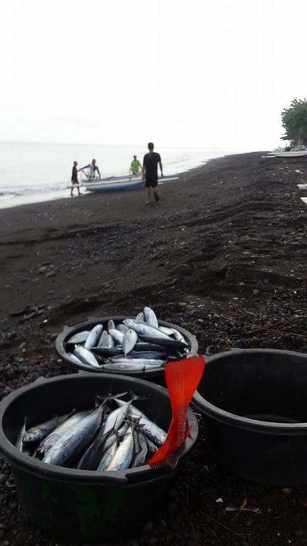 Alur Beach Homestay 아메드 외부 사진